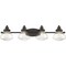 Quoizel Scholar Vanity Light SCH8604PN - alternate 1
